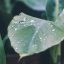 读者「南窗听雨」的头像，雨滴落在窗玻璃上的插画风格头像